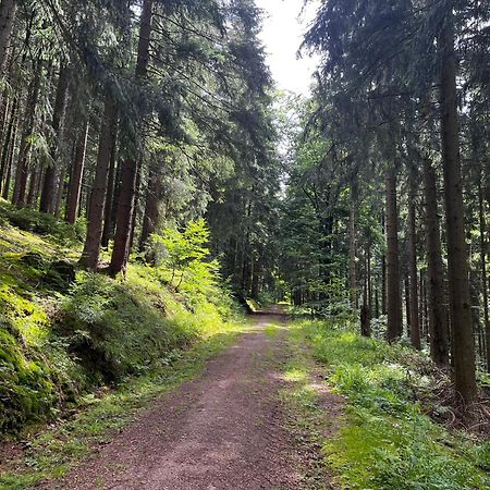 Gaestehaus Im Erzgebirge Zwönitz المظهر الخارجي الصورة