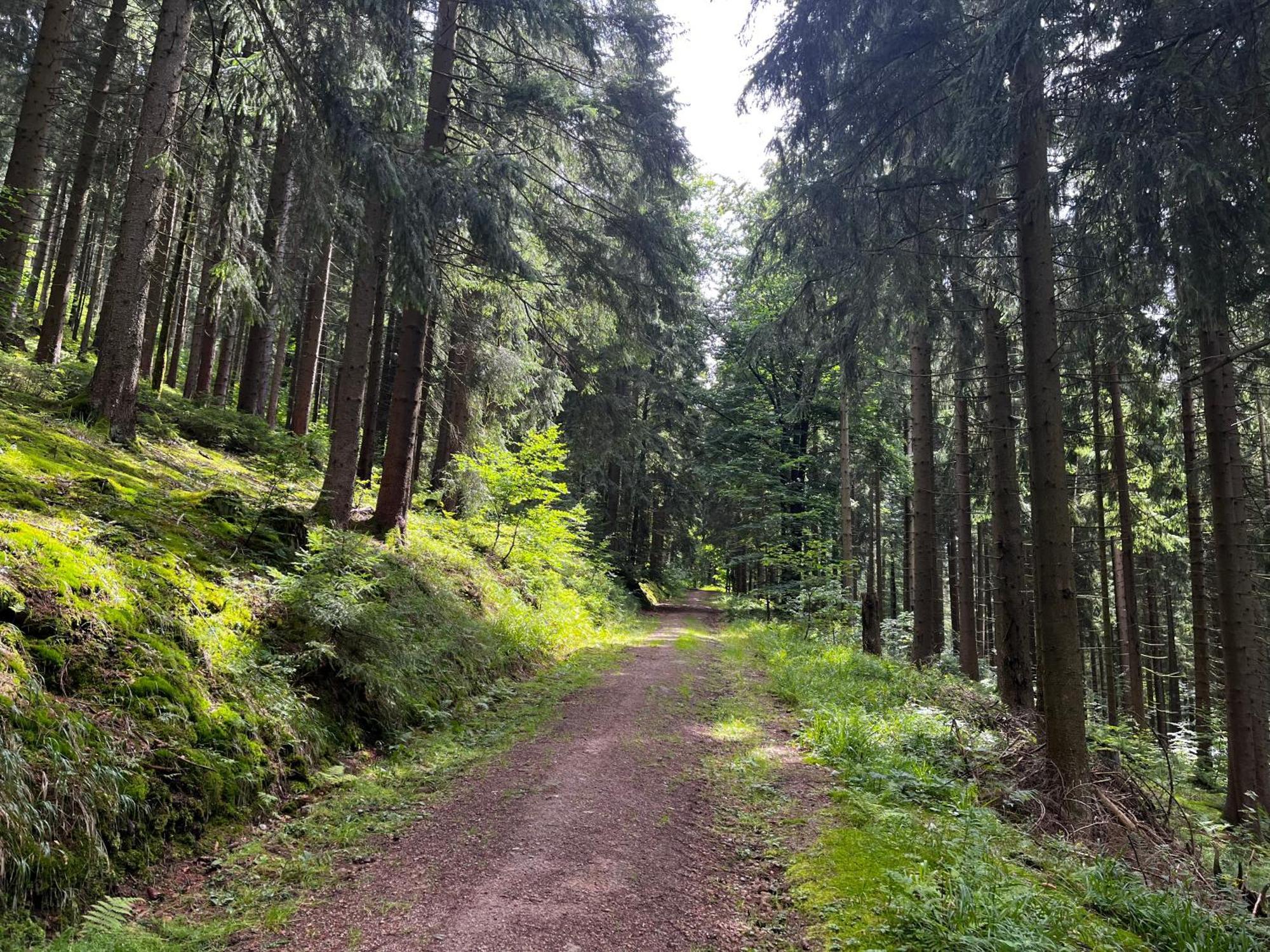 Gaestehaus Im Erzgebirge Zwönitz المظهر الخارجي الصورة